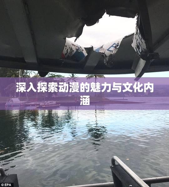 深入探索动漫的魅力与文化内涵