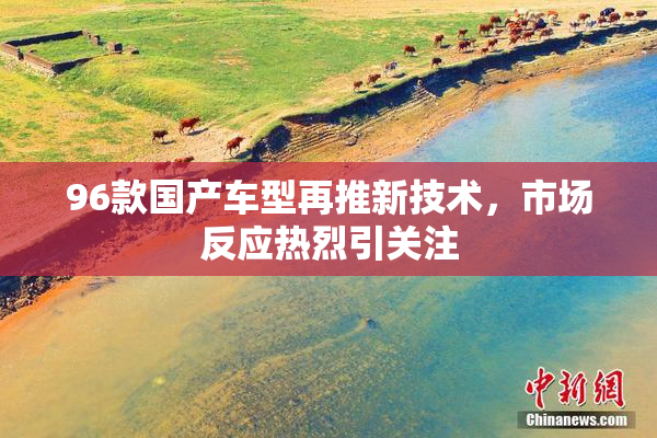 96款国产车型再推新技术，市场反应热烈引关注