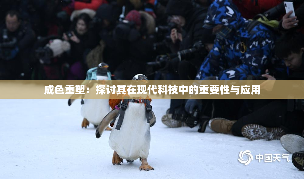 成色重塑：探讨其在现代科技中的重要性与应用