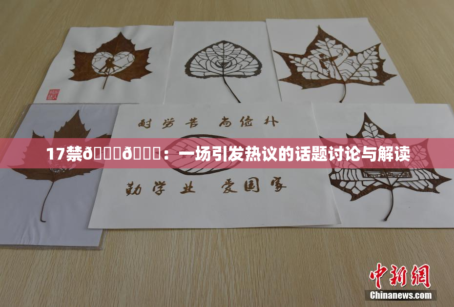 17禁🍆🍑：一场引发热议的话题讨论与解读