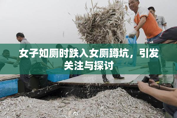 女子如厕时跌入女厕蹲坑，引发关注与探讨