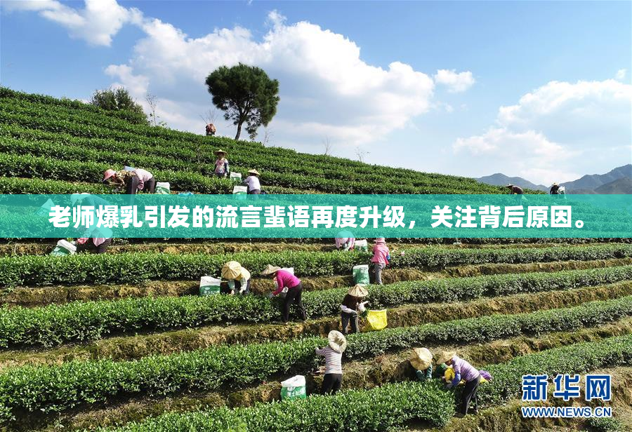 老师爆乳引发的流言蜚语再度升级，关注背后原因。
