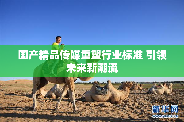 国产精品传媒重塑行业标准 引领未来新潮流
