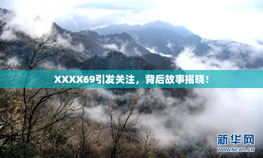 XXXX69引发关注，背后故事揭晓！