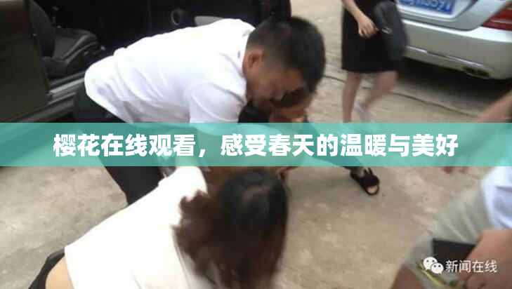 樱花在线观看，感受春天的温暖与美好
