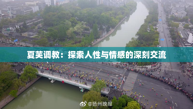 夏芙调教：探索人性与情感的深刻交流