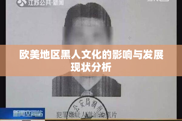 欧美地区黑人文化的影响与发展现状分析