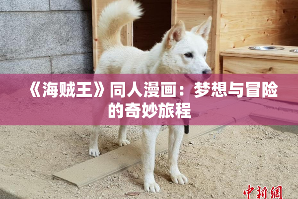 《海贼王》同人漫画：梦想与冒险的奇妙旅程