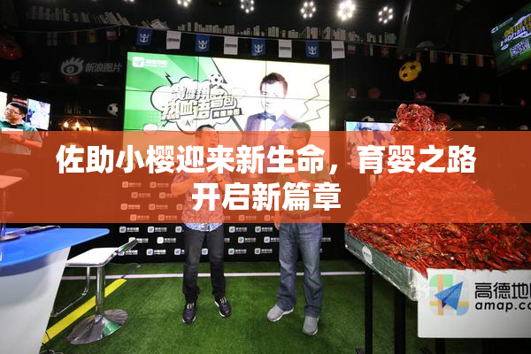 佐助小樱迎来新生命，育婴之路开启新篇章