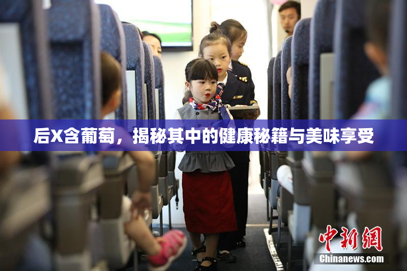 后X含葡萄，揭秘其中的健康秘籍与美味享受