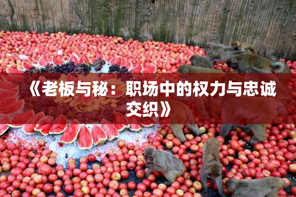《老板与秘：职场中的权力与忠诚交织》