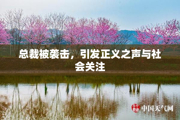 总裁被袭击，引发正义之声与社会关注