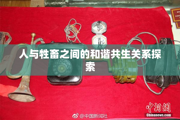 人与牲畜之间的和谐共生关系探索