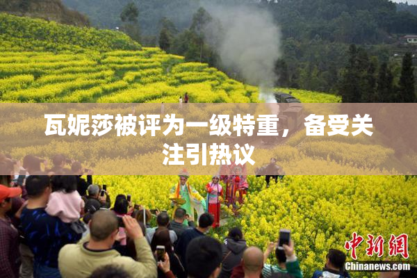 瓦妮莎被评为一级特重，备受关注引热议