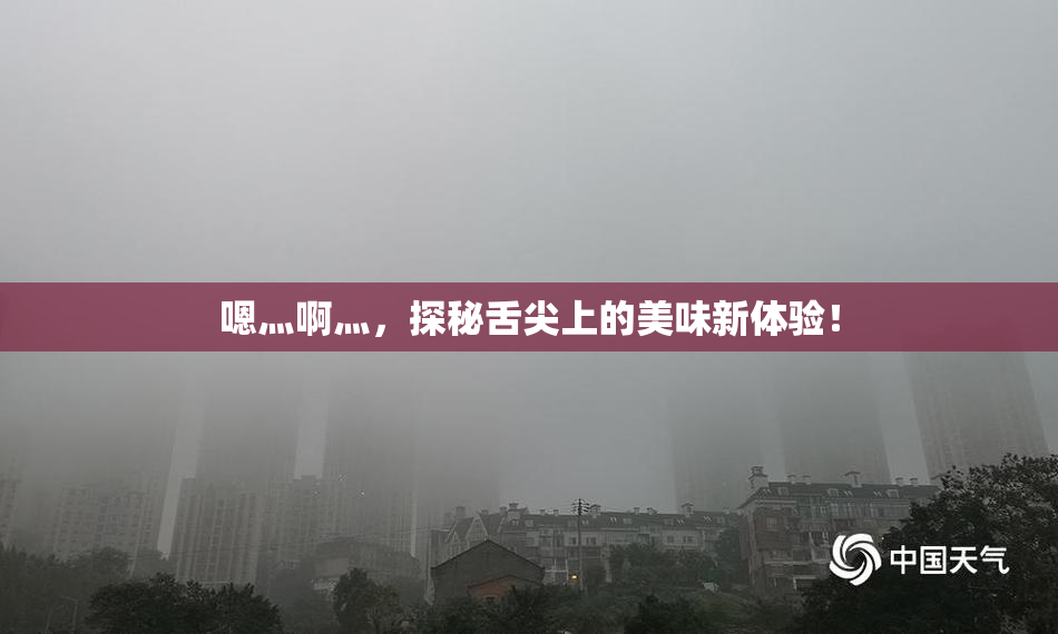 嗯灬啊灬，探秘舌尖上的美味新体验！