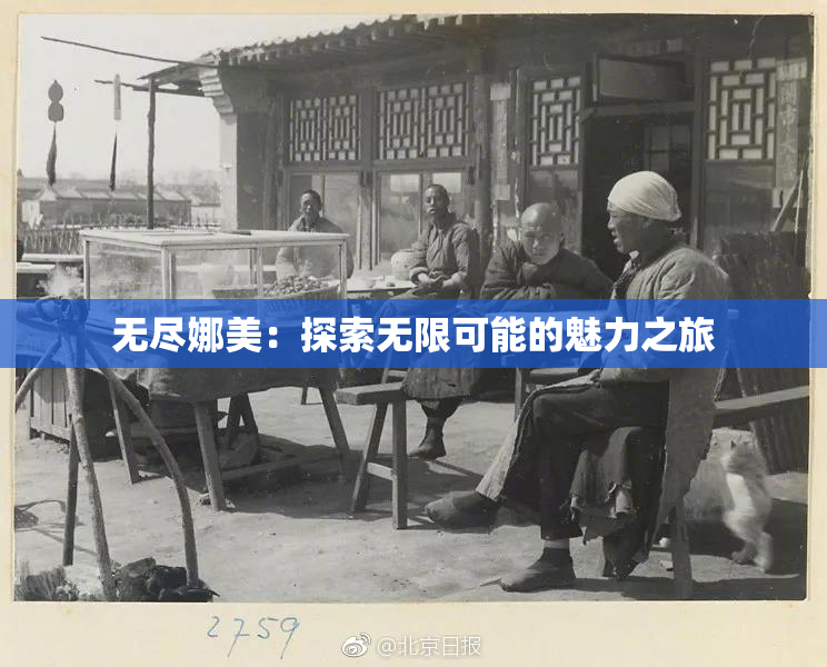 无尽娜美：探索无限可能的魅力之旅