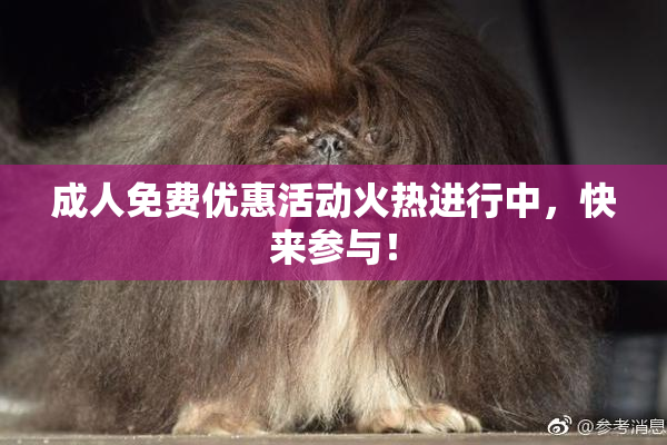 成人免费优惠活动火热进行中，快来参与！