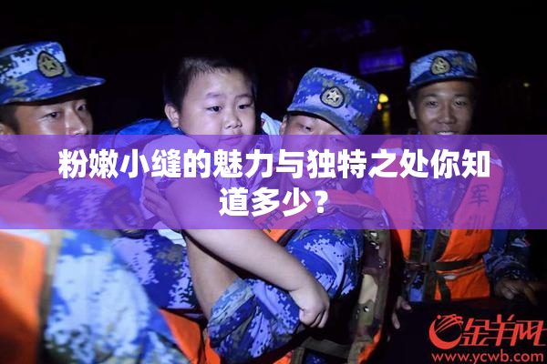 粉嫩小缝的魅力与独特之处你知道多少？