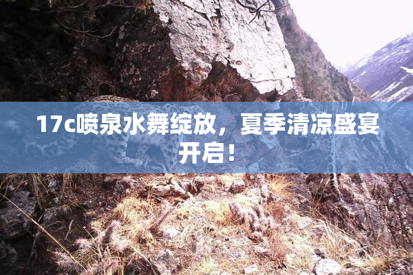 17c喷泉水舞绽放，夏季清凉盛宴开启！