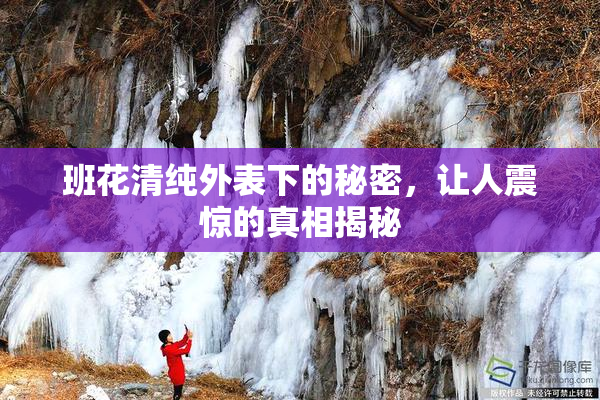班花清纯外表下的秘密，让人震惊的真相揭秘
