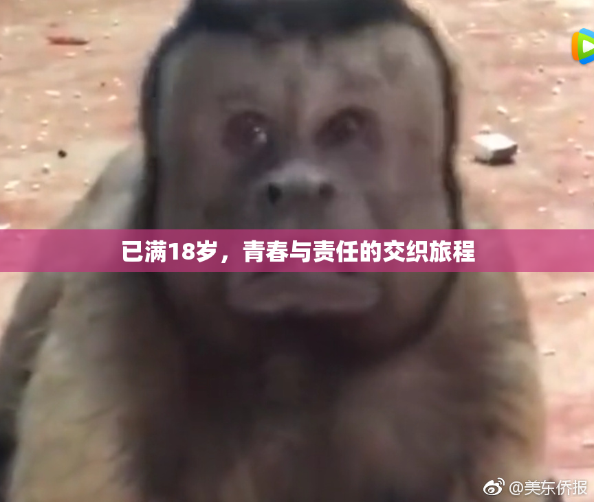 已满18岁，青春与责任的交织旅程