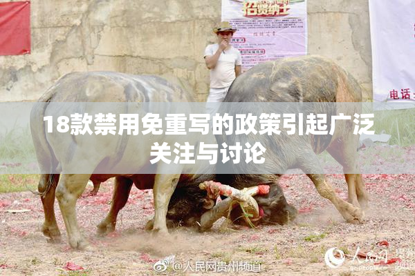 18款禁用免重写的政策引起广泛关注与讨论