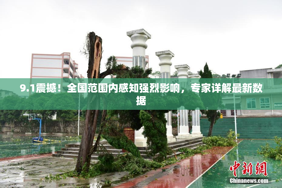 9.1震撼！全国范围内感知强烈影响，专家详解最新数据