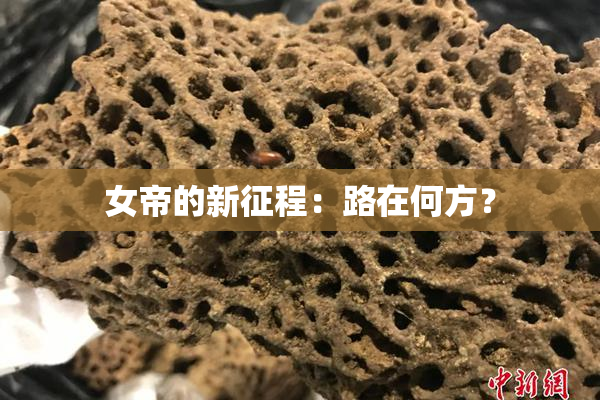 女帝的新征程：路在何方？