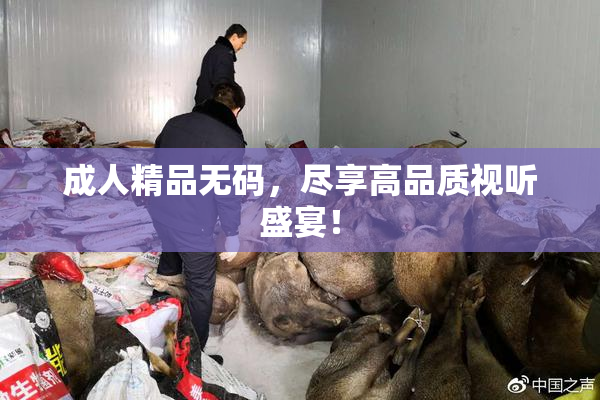 成人精品无码，尽享高品质视听盛宴！