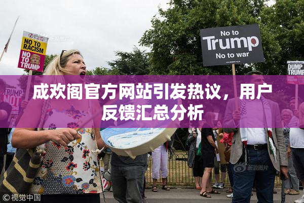 成欢阁官方网站引发热议，用户反馈汇总分析