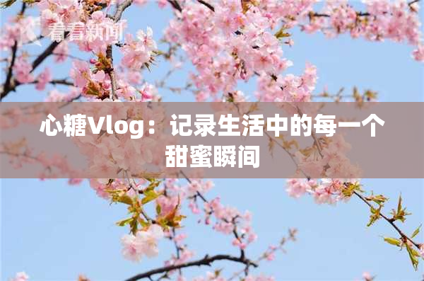 心糖Vlog：记录生活中的每一个甜蜜瞬间