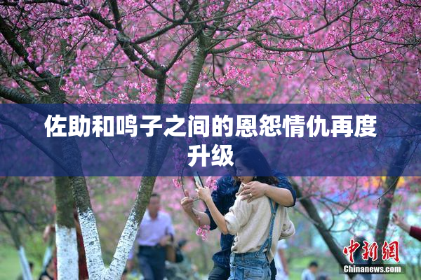 佐助和鸣子之间的恩怨情仇再度升级