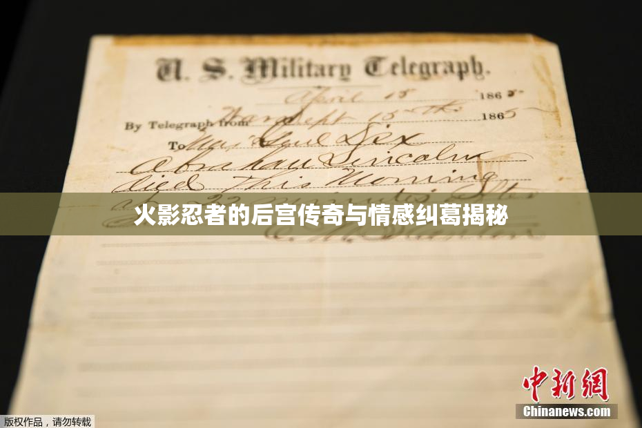 火影忍者的后宫传奇与情感纠葛揭秘