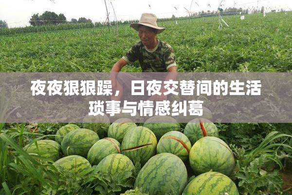 夜夜狠狠躁，日夜交替间的生活琐事与情感纠葛