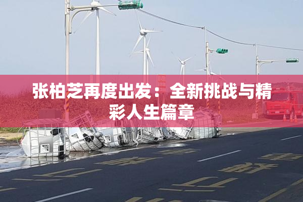 张柏芝再度出发：全新挑战与精彩人生篇章