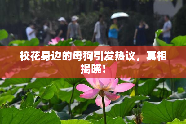 校花身边的母狗引发热议，真相揭晓！