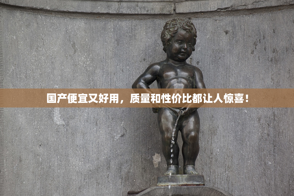 国产便宜又好用，质量和性价比都让人惊喜！