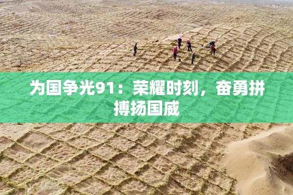 为国争光91：荣耀时刻，奋勇拼搏扬国威