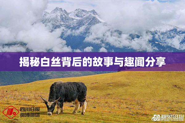 揭秘白丝背后的故事与趣闻分享