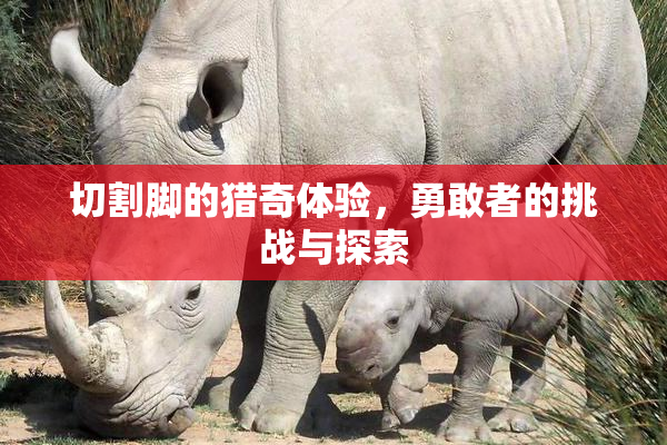 切割脚的猎奇体验，勇敢者的挑战与探索