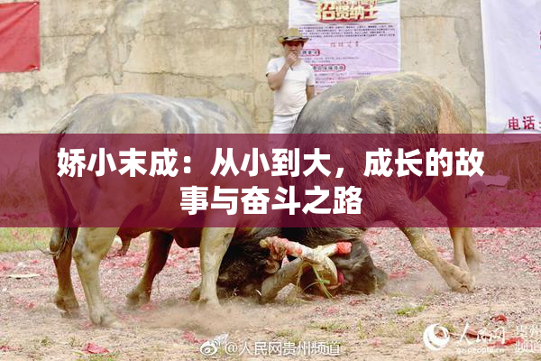 娇小末成：从小到大，成长的故事与奋斗之路