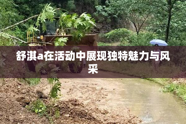 舒淇a在活动中展现独特魅力与风采