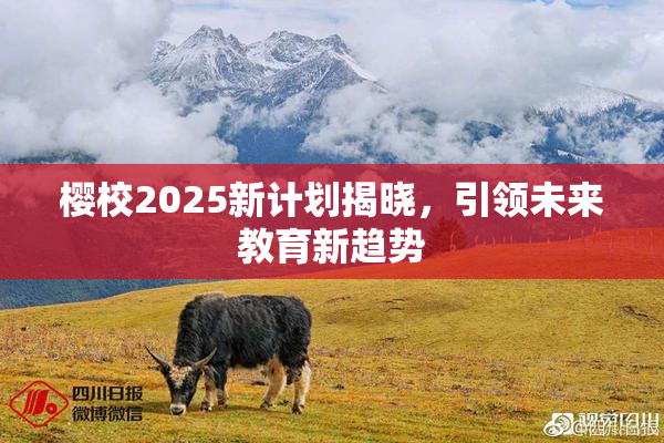 樱校2025新计划揭晓，引领未来教育新趋势