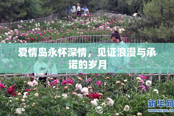 爱情岛永怀深情，见证浪漫与承诺的岁月