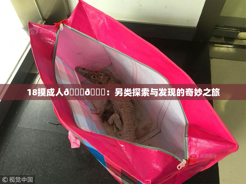 18摸成人🍆🍑：另类探索与发现的奇妙之旅