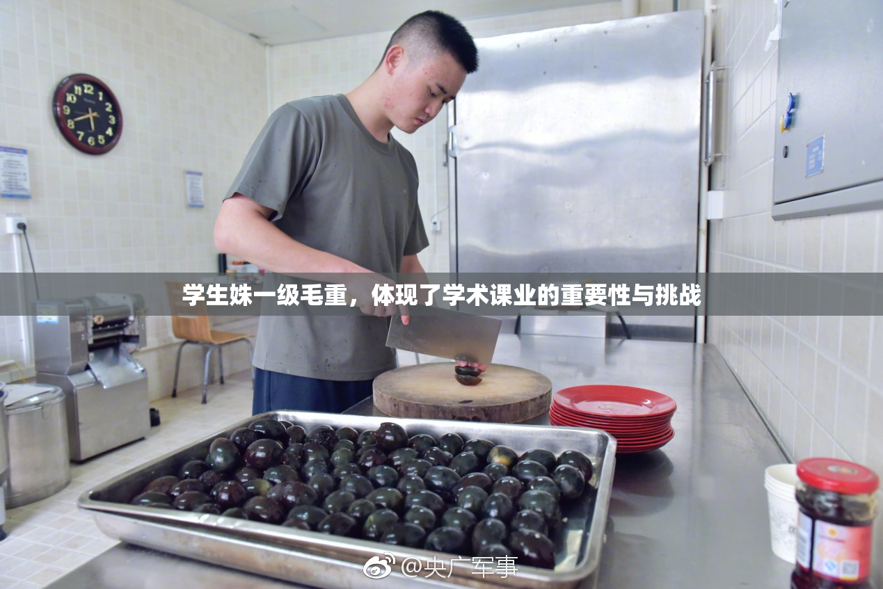 学生姝一级毛重，体现了学术课业的重要性与挑战