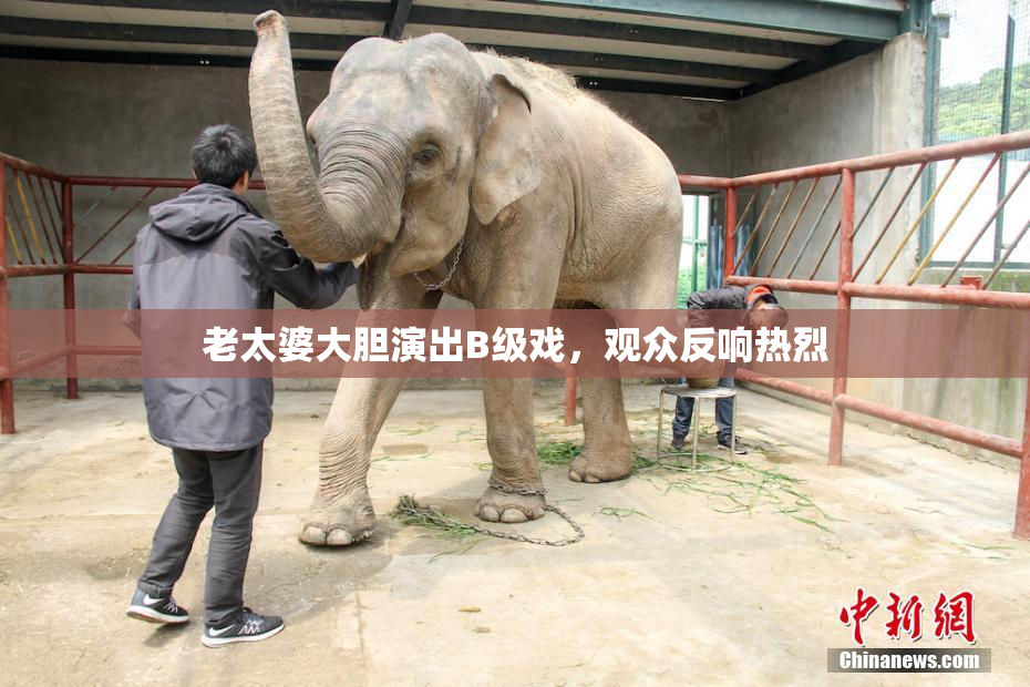 老太婆大胆演出B级戏，观众反响热烈