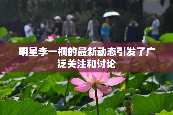 明星李一桐的最新动态引发了广泛关注和讨论