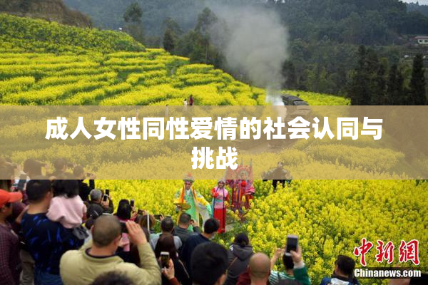 成人女性同性爱情的社会认同与挑战