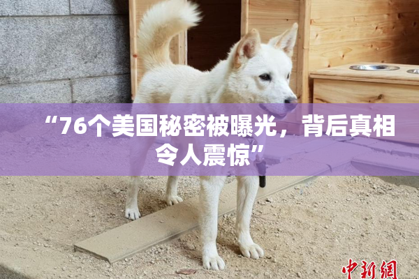 “76个美国秘密被曝光，背后真相令人震惊”